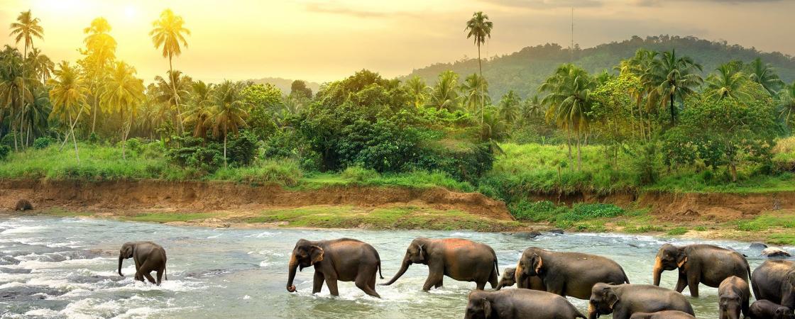 Sri Lanka utazás és szállás ajánlatok