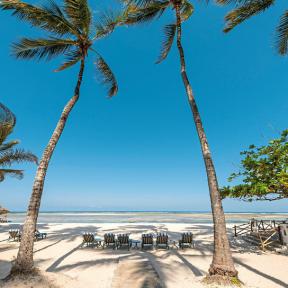 Fedezd fel Kenyát / Tanzániát a legjobb időszakban