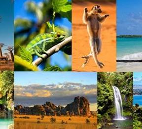 Miért éppen Madagaszkárra utazzunk?