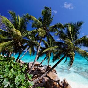 A Seychelle-szigetek megnyílik a világ előtt