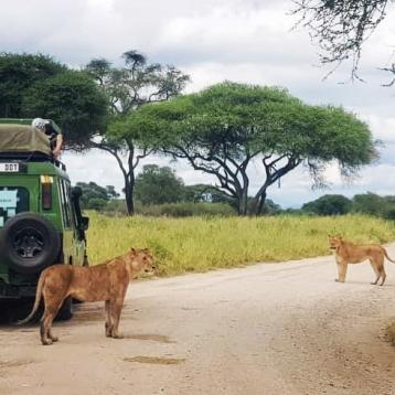 TANZÁNIA SZAFARI ÜDÜLÉSSEL ZANZIBÁRON