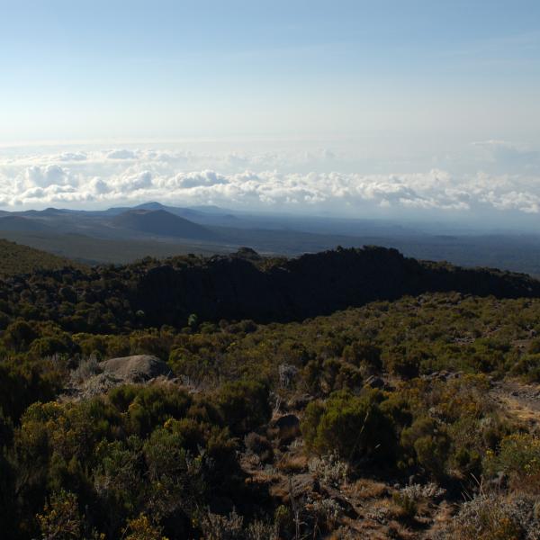 Kilimanjaró mászás - Új utakon
