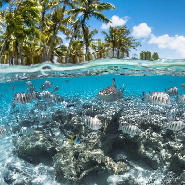 Tahiti – Moorea – Bora Bora utazás