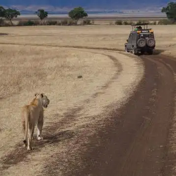 BEST OF KENYA - 2027 TÉL SZAFARI + TENGERPART
