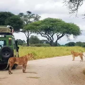 TANZÁNIA SZAFARI ÜDÜLÉSSEL ZANZIBÁRON