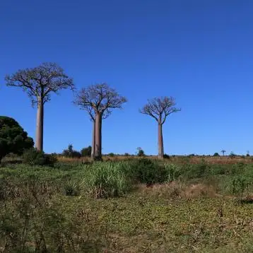 2 napos szafari 